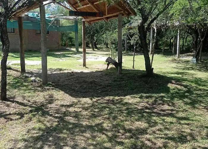 Bosquecito De Carpin