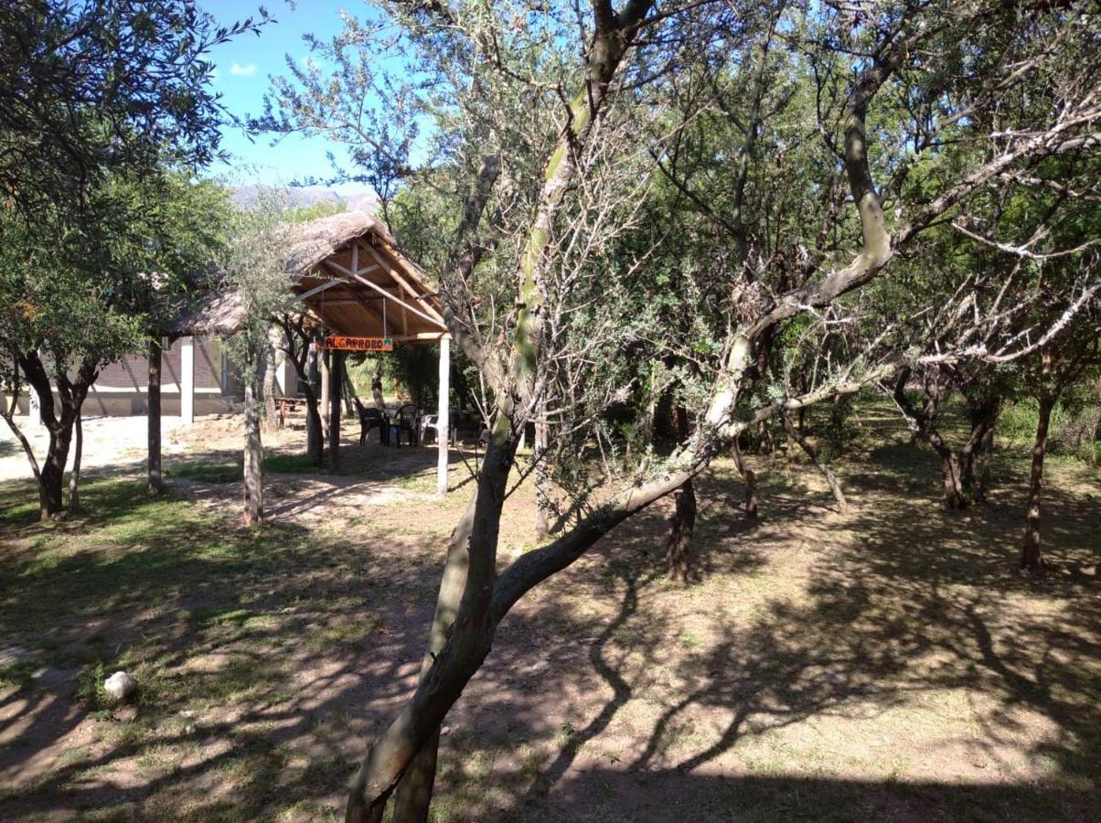 Apartment Bosquecito De Carpin *