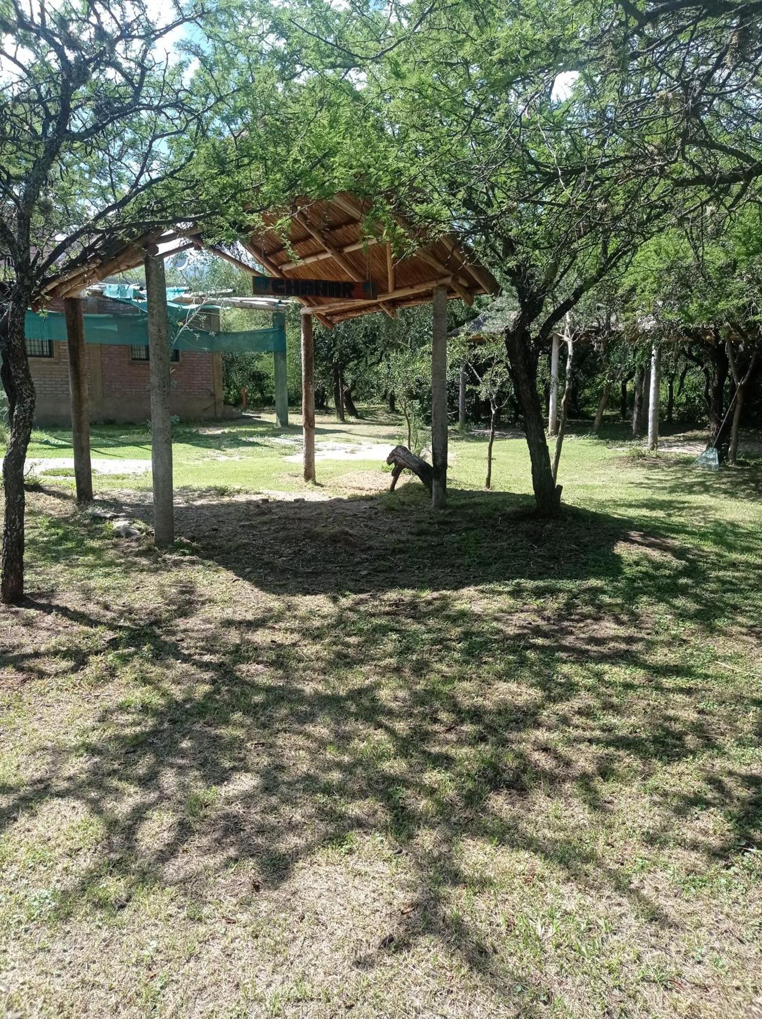 Bosquecito De Carpin Carpinteria (San Luis)